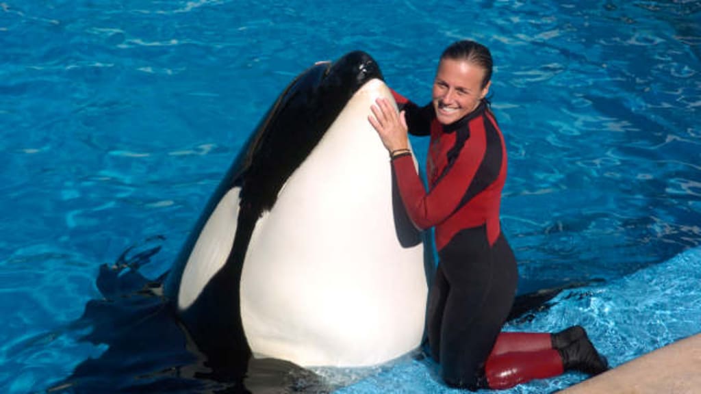 Jessica Radcliffe and the Viral Orca Trainer Story: What's Real and What's  Not? | Humans