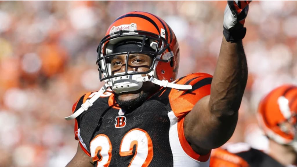 Former NFL RB Rudi Johnson Dies at 45 | Gamers