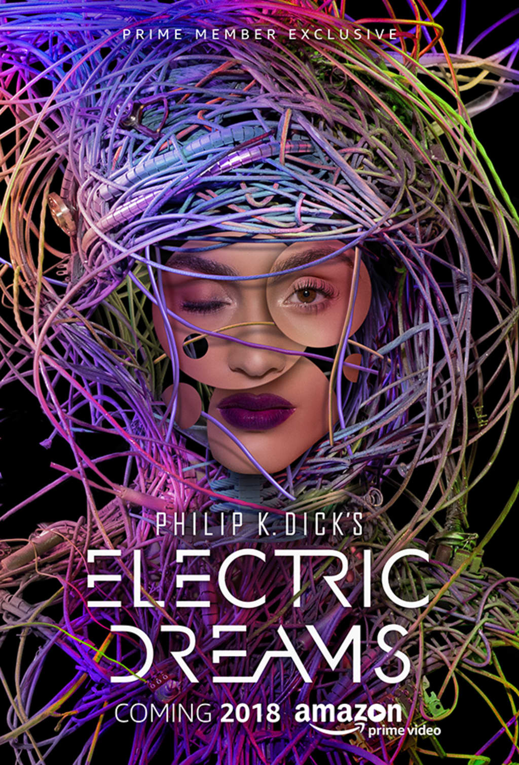 Review of Philip K. Dick s Electric Dreams 1.4 Crazy Diamond