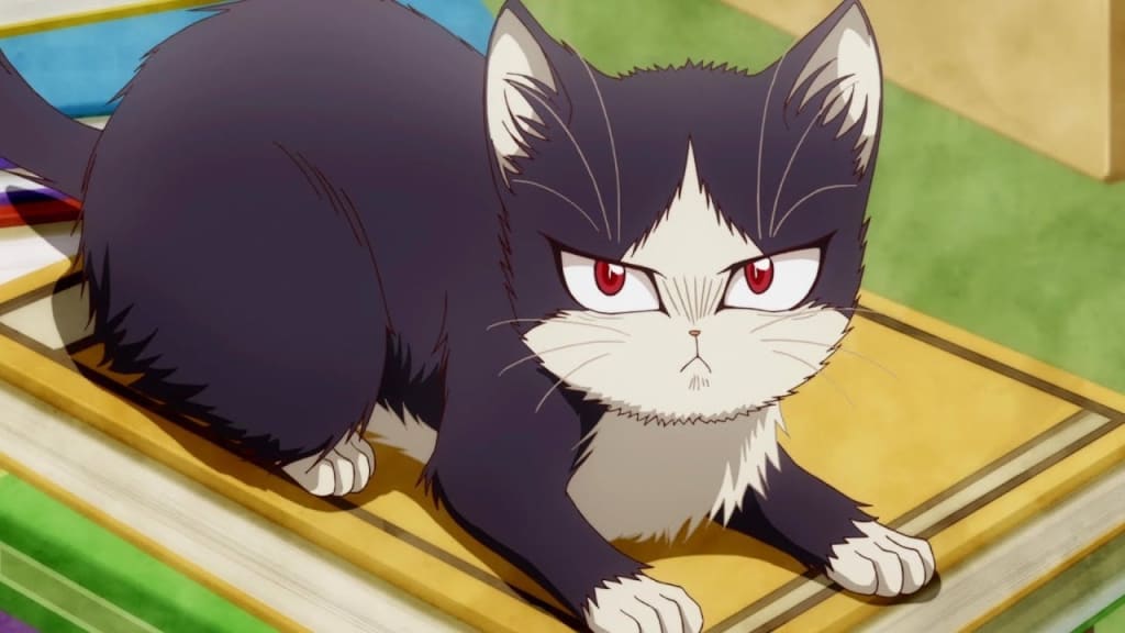 15 Best Anime Cats in 2023 Ranked  Beebom