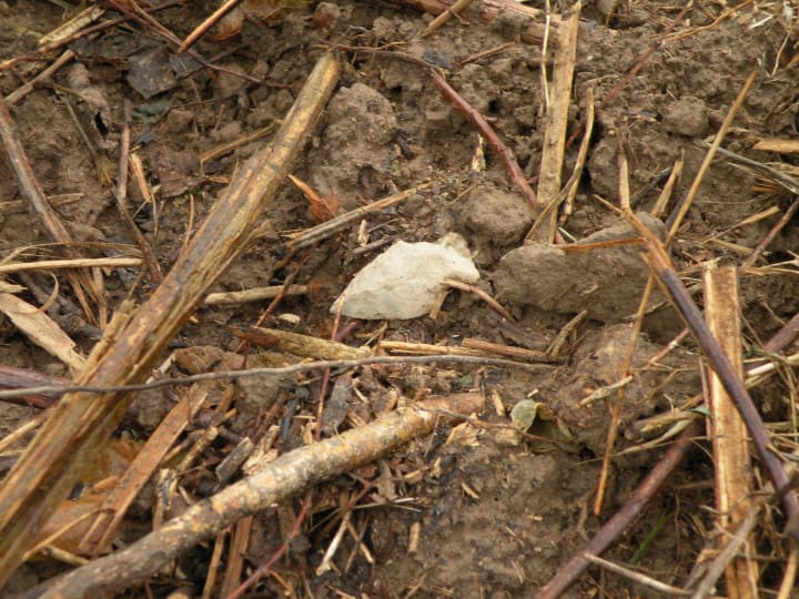 6046ba13351cde001d89d45b Hunting Arrowheads: Hints to Quickly Begin Finding Them