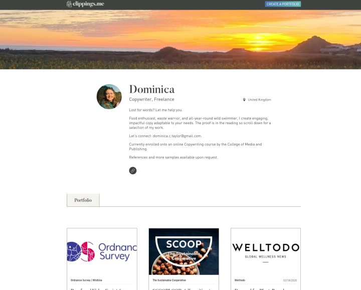 Tips for creating your own Pressfolios portfolio site