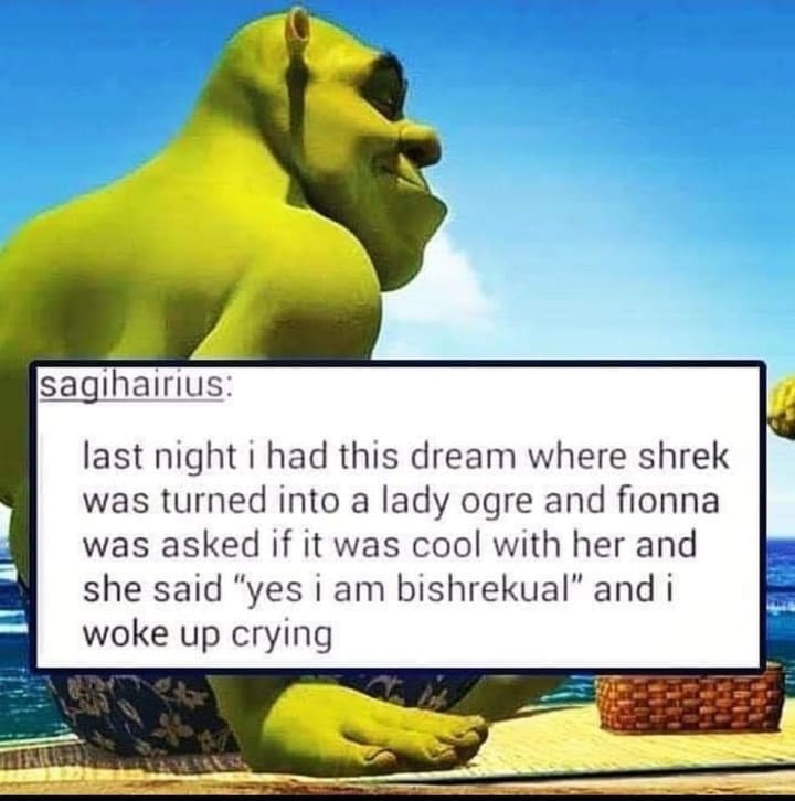 Shrek memes - Yum