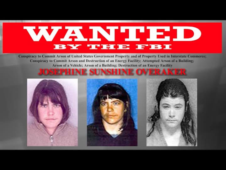 Top 10 FBI Most Wanted Women Fugitives 2023 Criminal