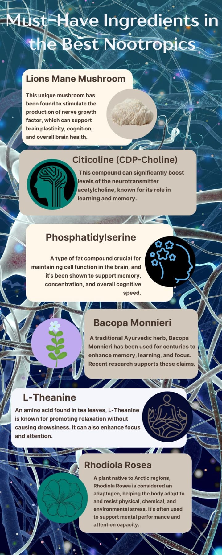 Boost Focus, Memory & Learning Capacity - Ultimate Nootropic MIND