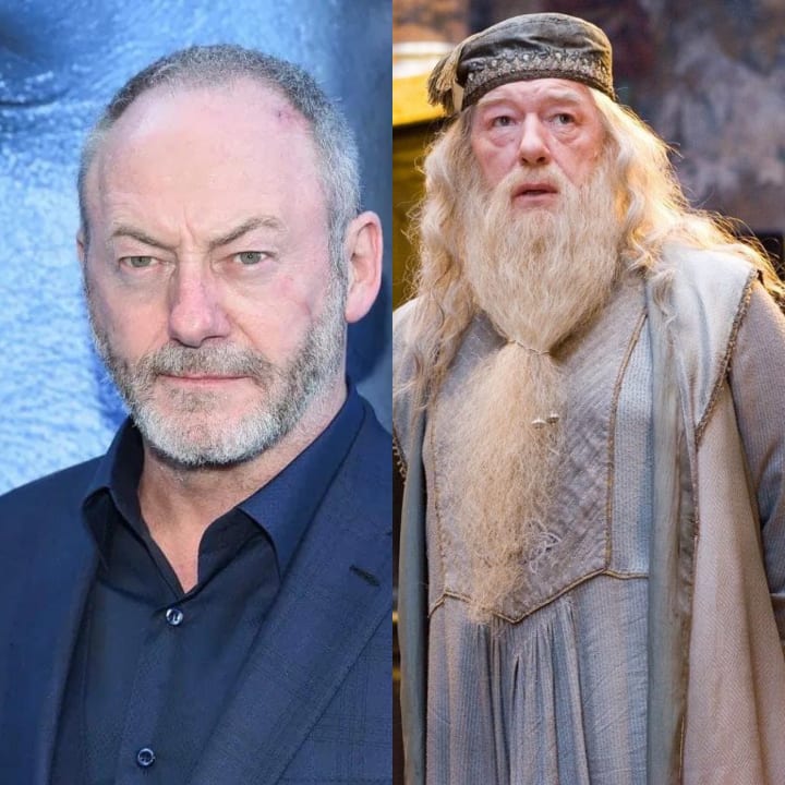 RUMOURED Actors Attached to Star in HBO's Harry Potter