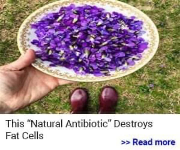 HoneyBurn The First & Only Purple Weight Loss Honey Longevity