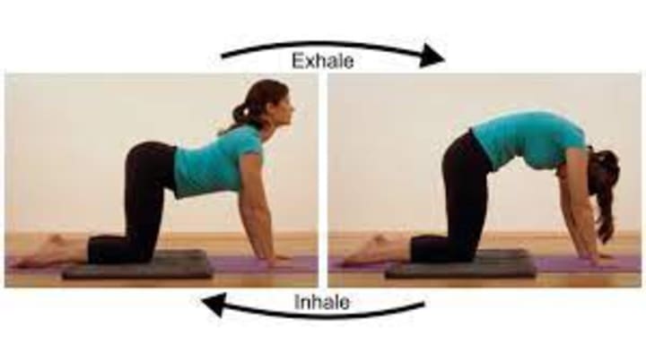 10 Easy Yoga Poses for Beginners to Improve Flexibility and Reduce