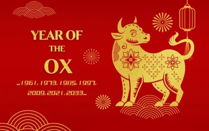 The Lunar New Year | History