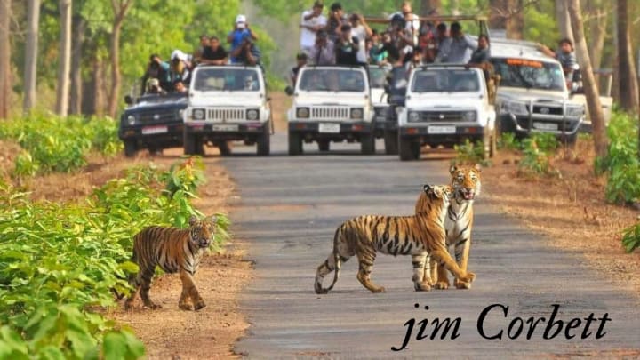 Jim Corbett National Park, Uttarakhand