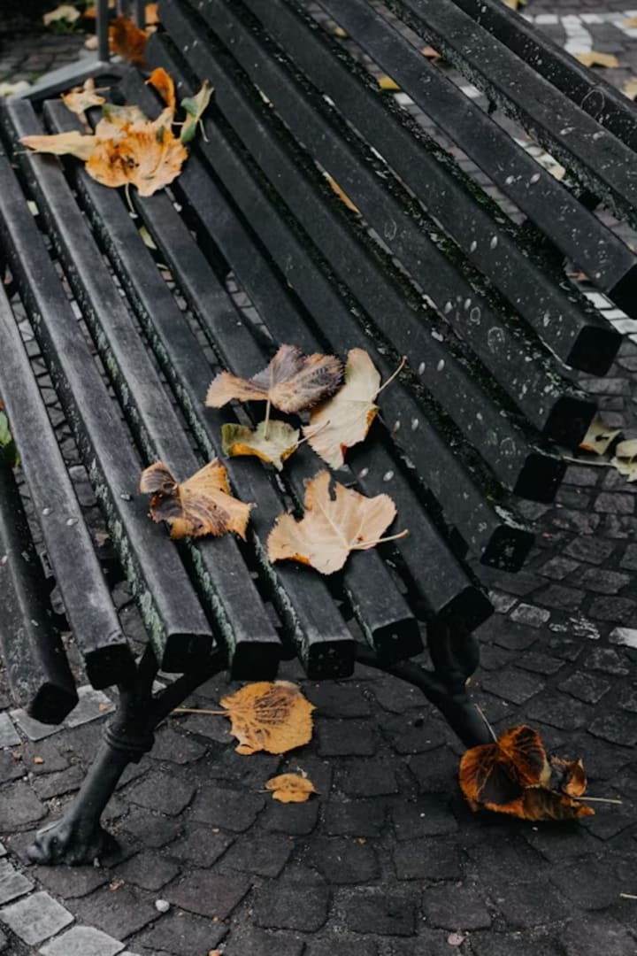 6835ef1d86929a001dbdea9e.png