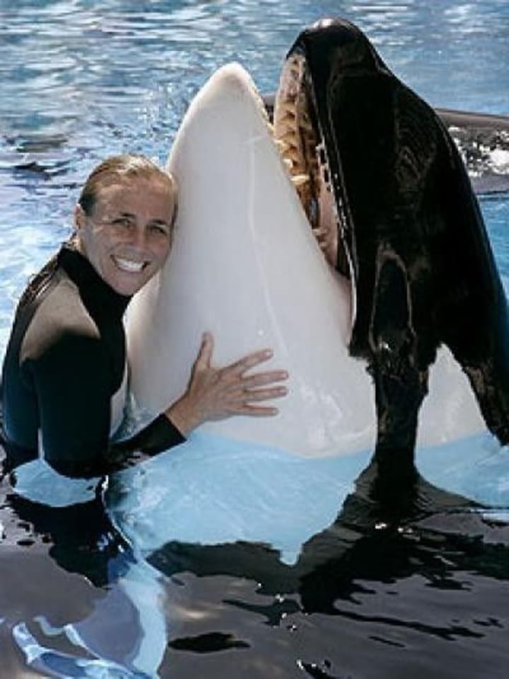 The Viral “Jessica Radcliffe” Orca Attack Story The Viral “Jessica Radcliffe” Orca Attack Story