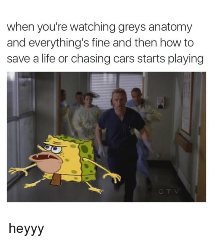 Grey's Anatomy  Greys anatomy funny, Grey anatomy quotes, Greys anatomy  memes