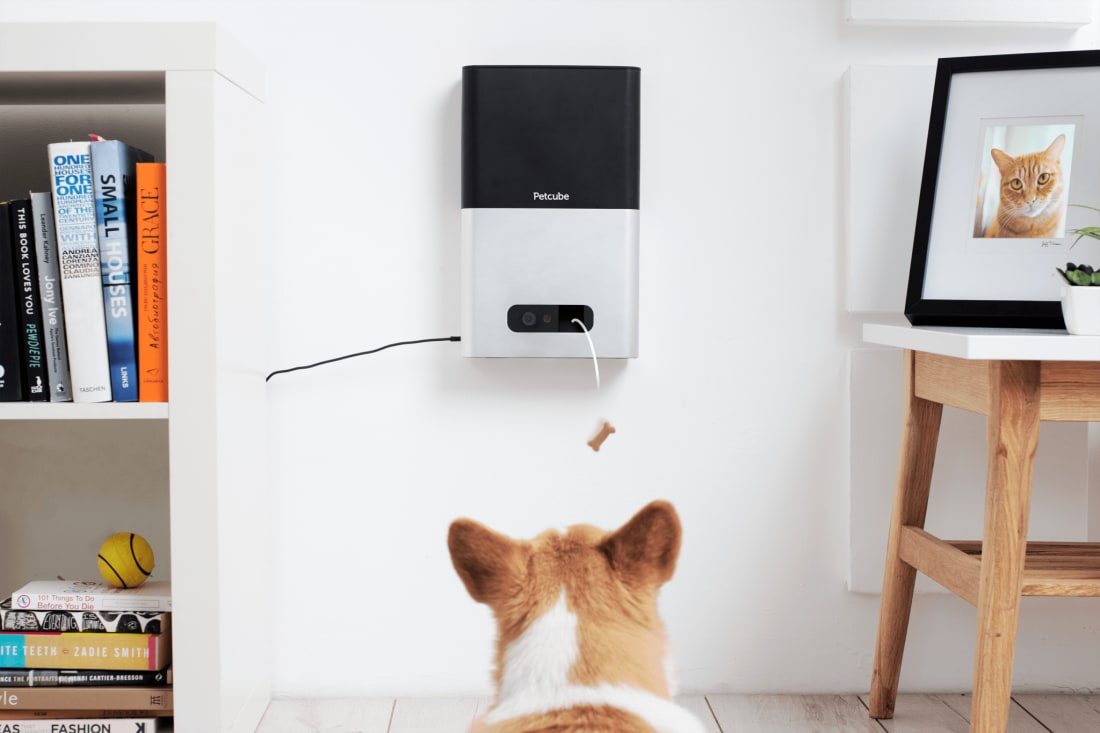 Best Dog Camera Treat Dispensers Petlife