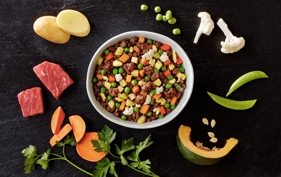 10 Dog Food Delivery Services You Must Try Petlife