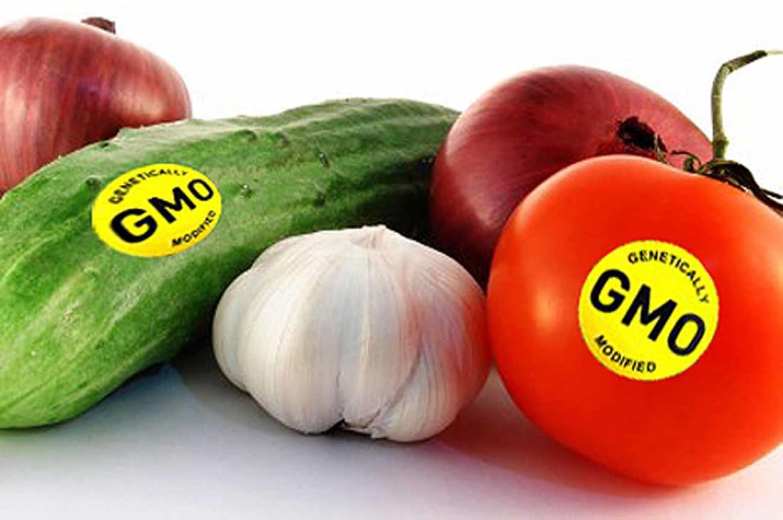 Image result for gmo food