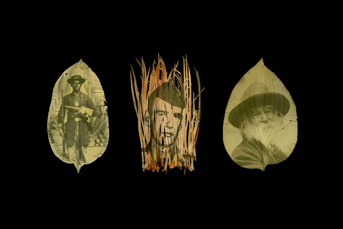 10 Stunning Alternative Process Photography Styles Photography