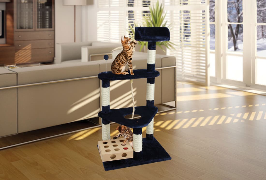 Coolest Cat Condos for Your Feline Friend Petlife