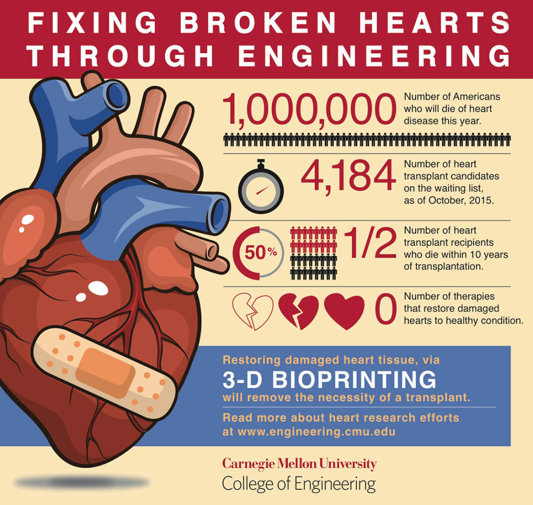 3D Organ Printing is the Future of Successful Transplants ...