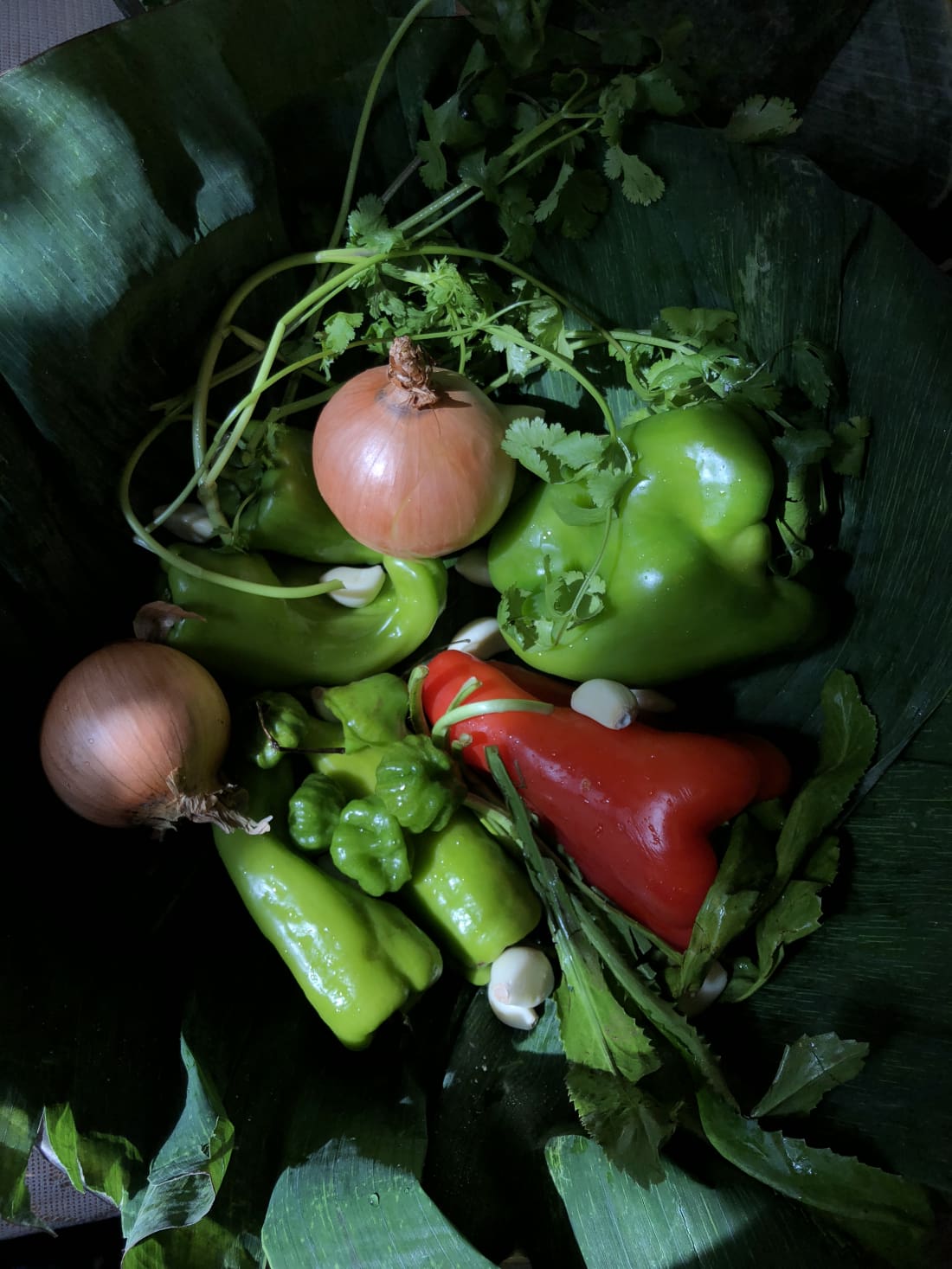 Vegan Puerto Rican Sofrito | Feast