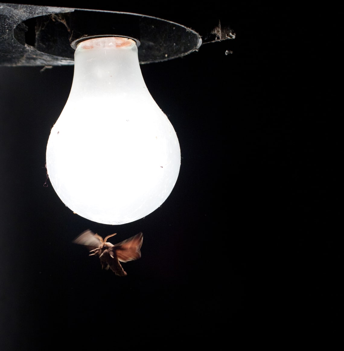 oogsk8l38plhgvaudvto