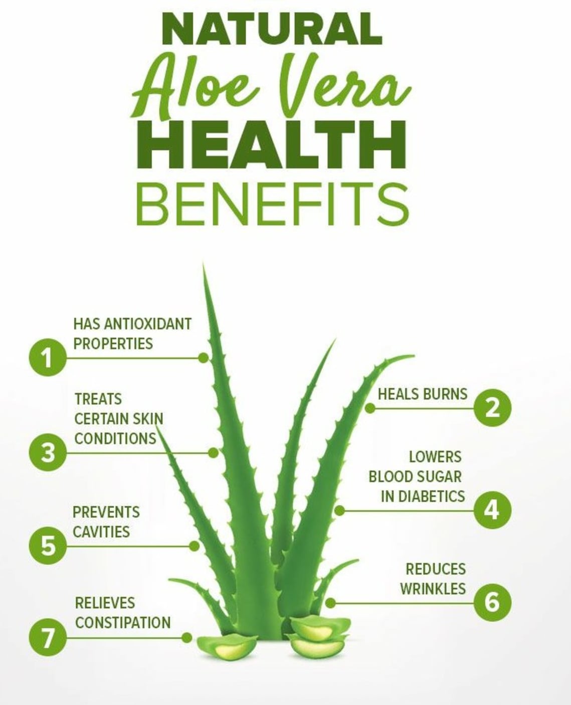 Aloe Vera for Skin: Benefits and How to Use It