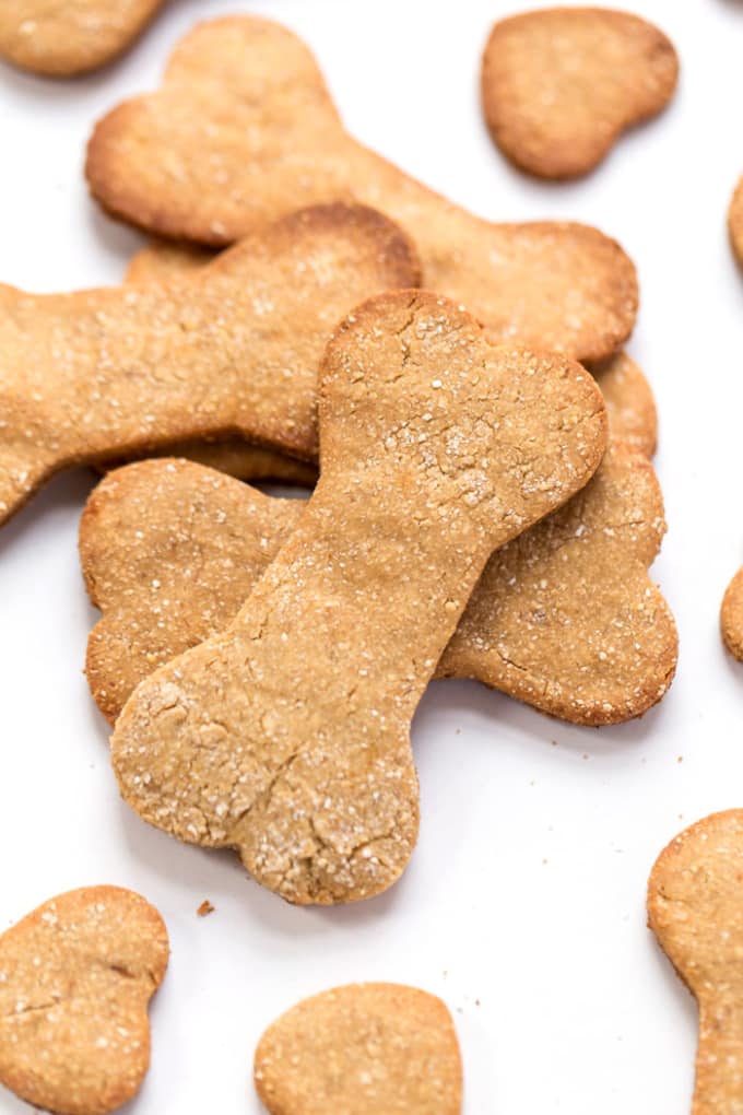 Best Homemade Peanut Butter Dog Treat Recipes | Petlife