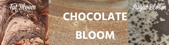 What Is Sugar Bloom In Chocolate? – LRBO