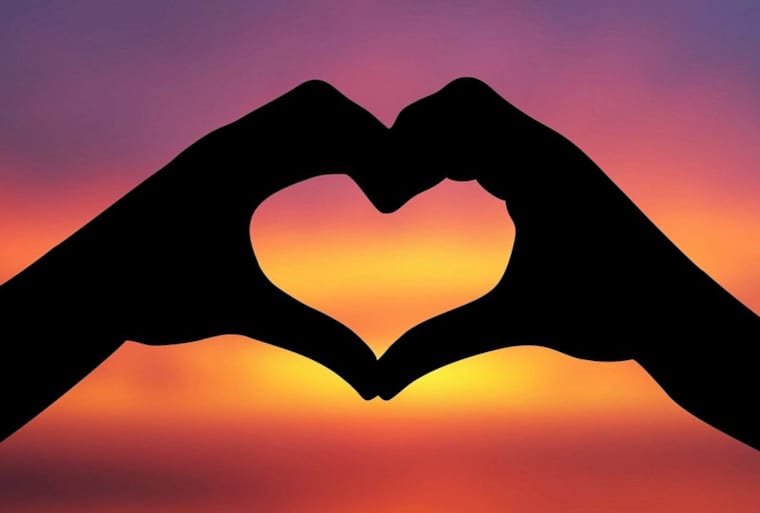 Love | Humans