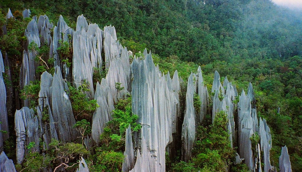 10 Best Tourist Attractions in Malaysia  Wander
