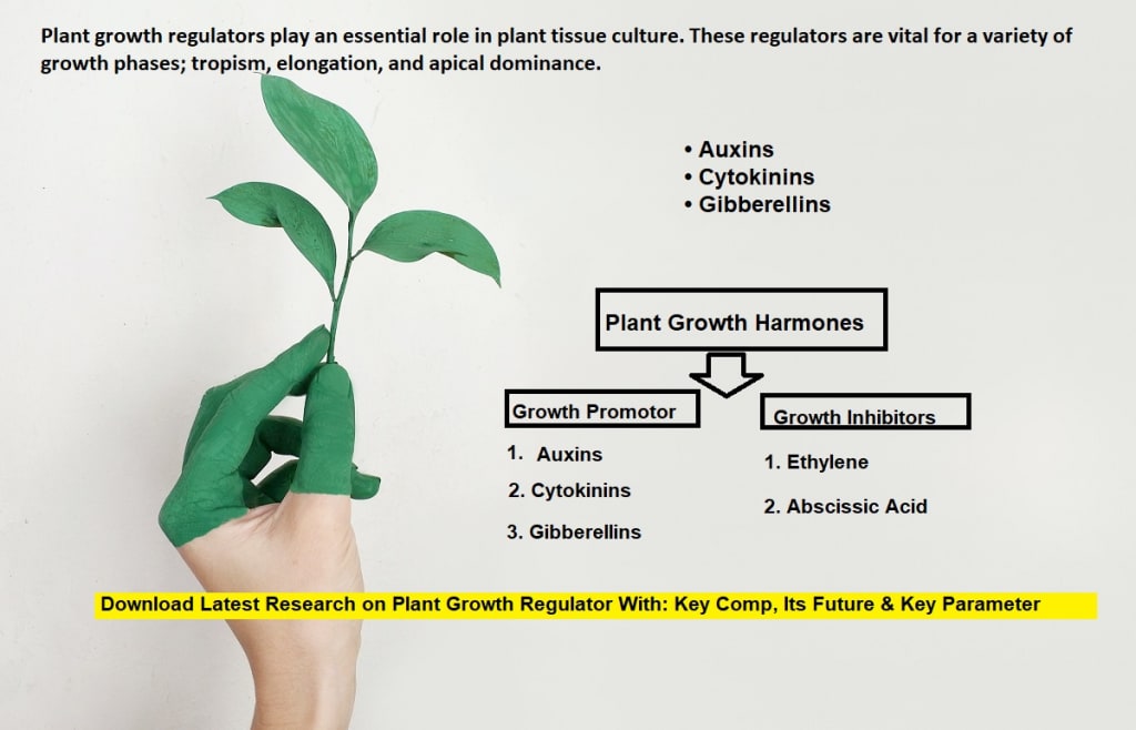 What is the future of plant growth regulators industry worldwide Trader
