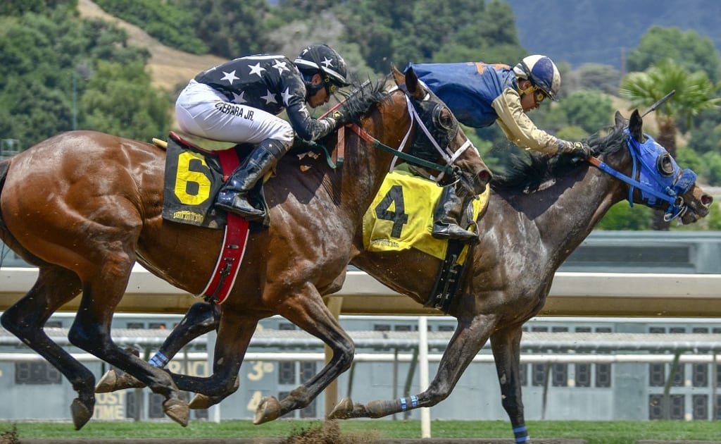 Things you should know about Horse Racing Ratings | Unbalanced