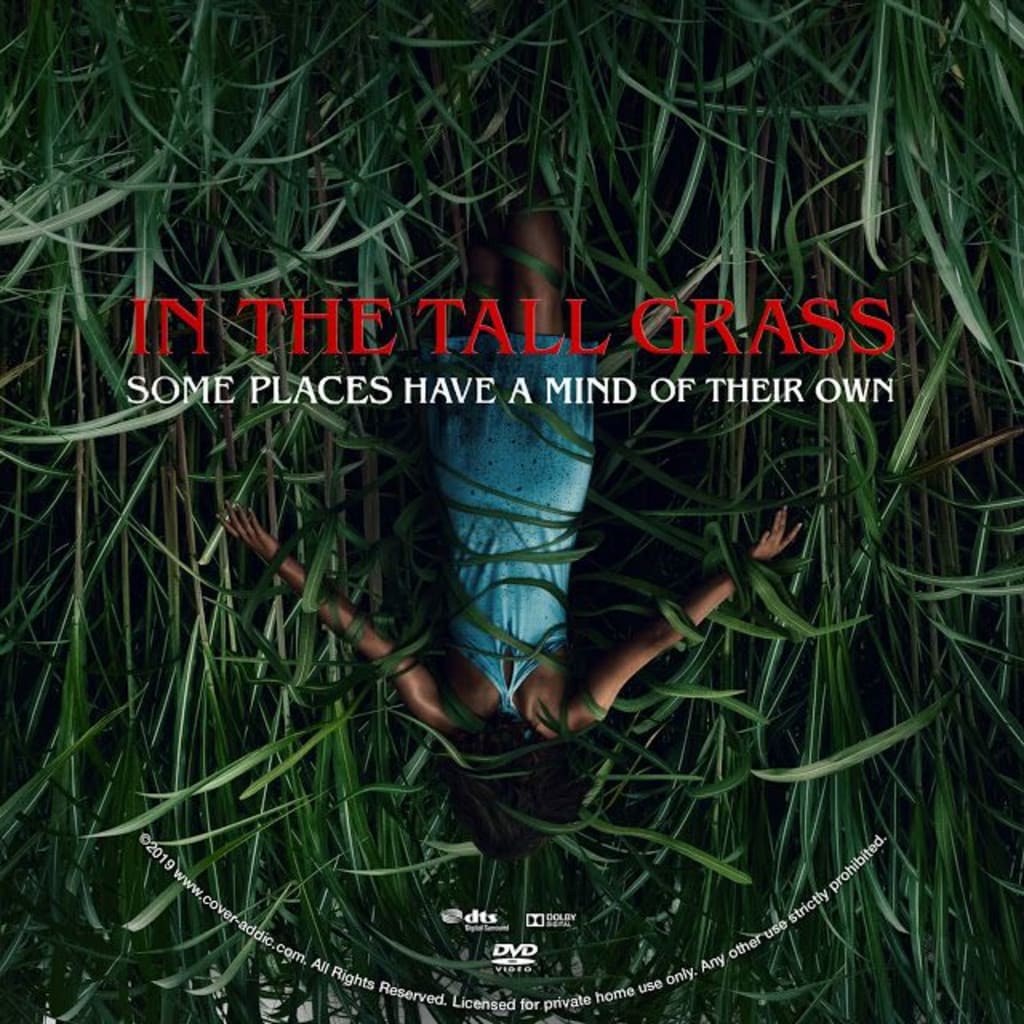 A Filmmakers Review In The Tall Grass 2019 Geeks 