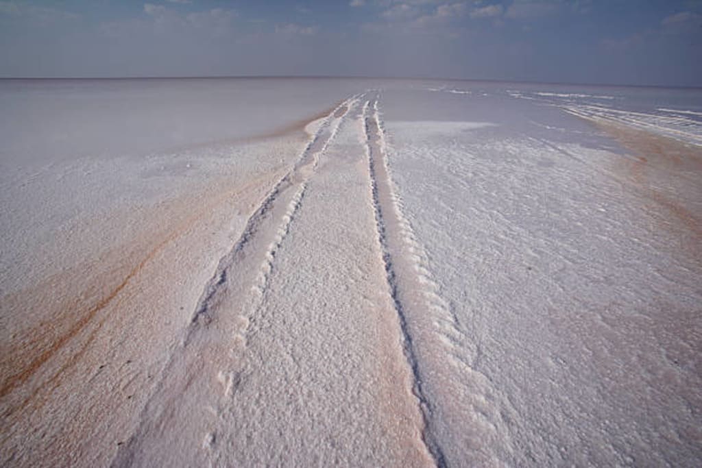 Rann of kutch is the largest white desert in the world?  Wander