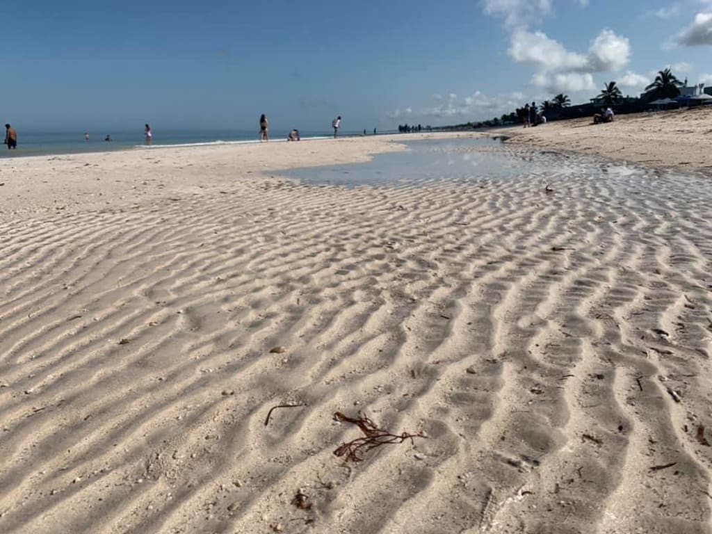 Progreso, Home of the World's Largest Pier Wander