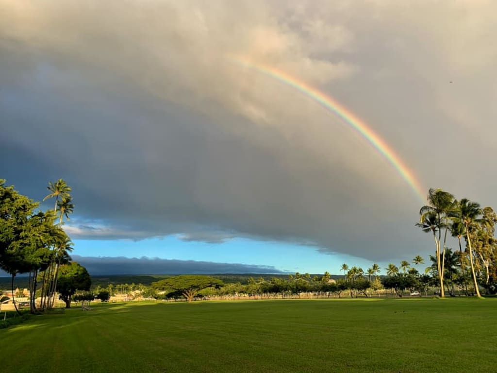 Hilo, My Hometown Wander