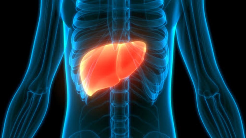 Which Ayurvedic Treatment is Good For Liver Disease? | Lifehack