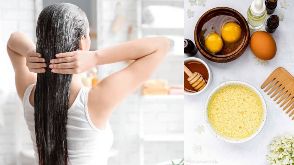 Uses and Benefits of egg hair treatment | Blush Uses and Benefits of egg hair treatment | Blush
