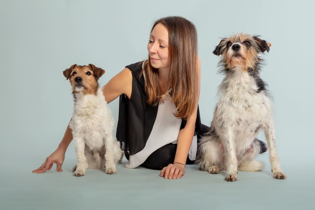 How to Choose the Right Pet for You | Petlife How to Choose the Right Pet for You | Petlife