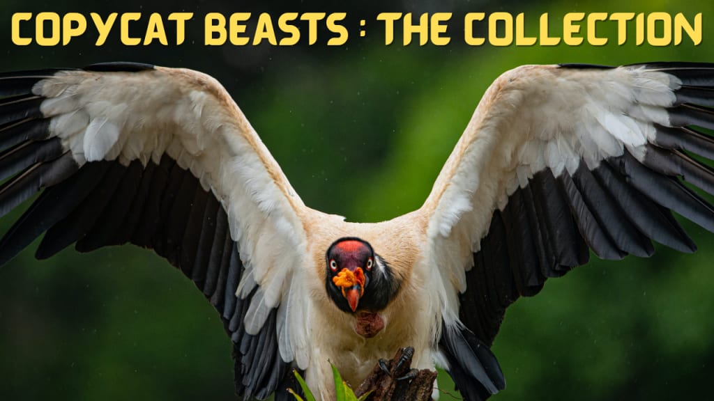 Animal Mimicry: The Evolutionary Arms Race | Earth Animal Mimicry: The Evolutionary Arms Race | Earth