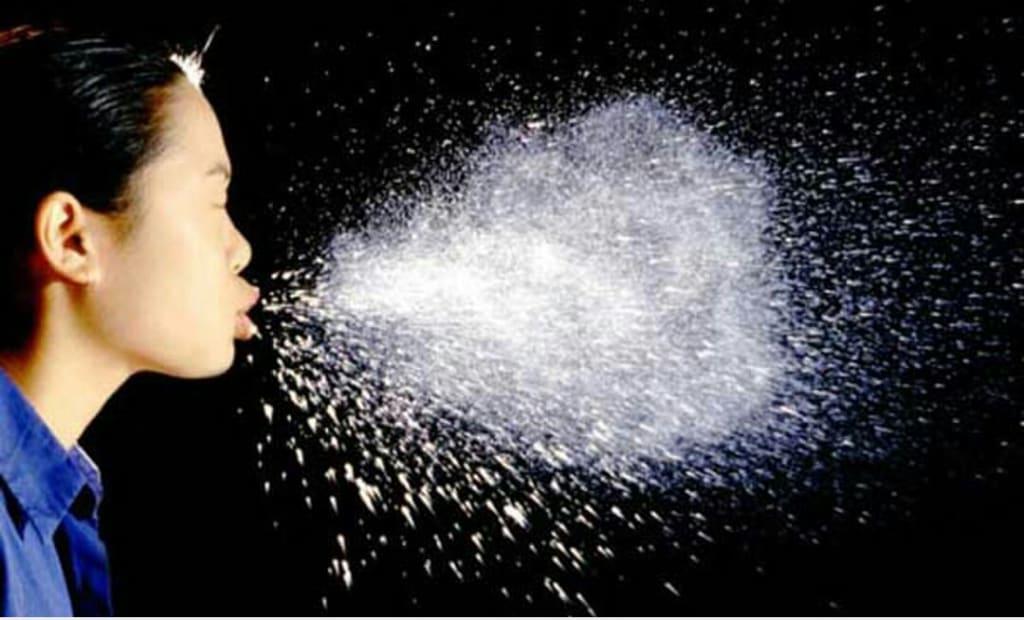 Sneezes Longevity
