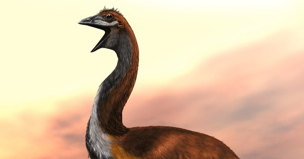 10 Animals That Went Extinct Due to Hunting | Petlife 10 Animals That Went Extinct Due to Hunting | Petlife