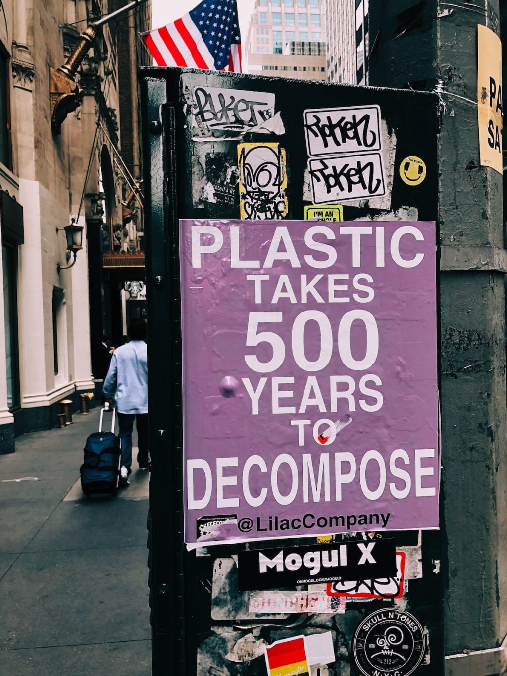 How Long Does It Take Plastic To Biodegrade? The Swamp
