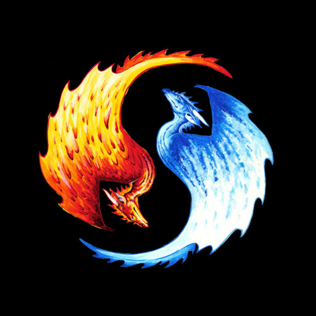 Fire And Ice Poets