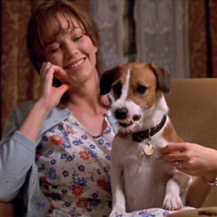 The 00s Movie Project My Dog Skip The Shocking Secrets Of A Gentle Family Dog Movie Petlife