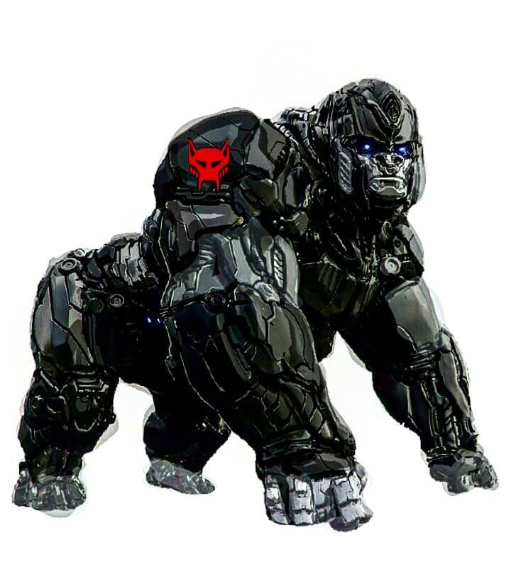 transformers  reboot universe