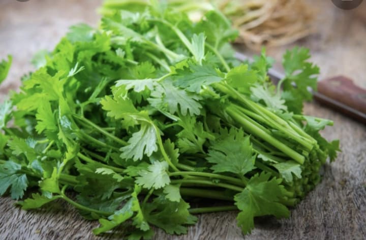 Parsley Is A Super Food You Need Longevity