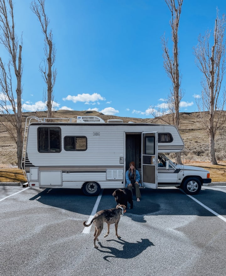 Living the RV Life: My 5 Tips for Dog Owners On the Road | Petlife