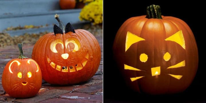 pumpkin carving mouse ideas