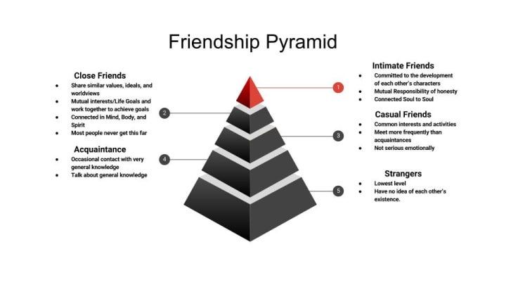 Stages Of Friendship Humans